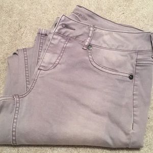 NWOT Maurices  Lavender Jeggings Sz M